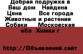 Добрая подружка,в Ваш дом!!!Найдена › Цена ­ 10 - Все города Животные и растения » Собаки   . Московская обл.,Химки г.